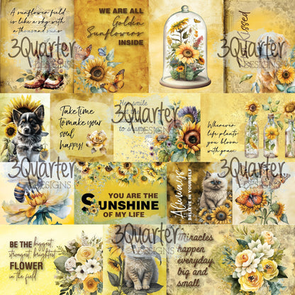 Élixir de tournesol, paquet de 6 x 6