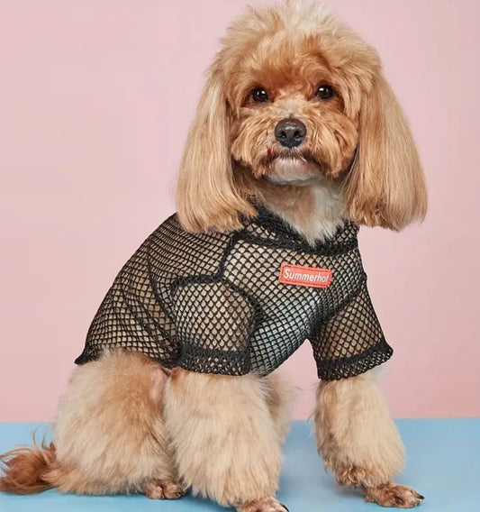 T-shirt pour chien Ezra | T-shirt en maille pour animaux de compagnie