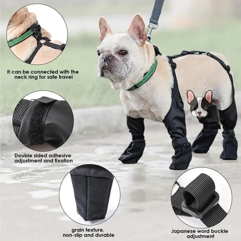 Bottes pour chien à bretelles | Bottes mode pour chien avec bretelles