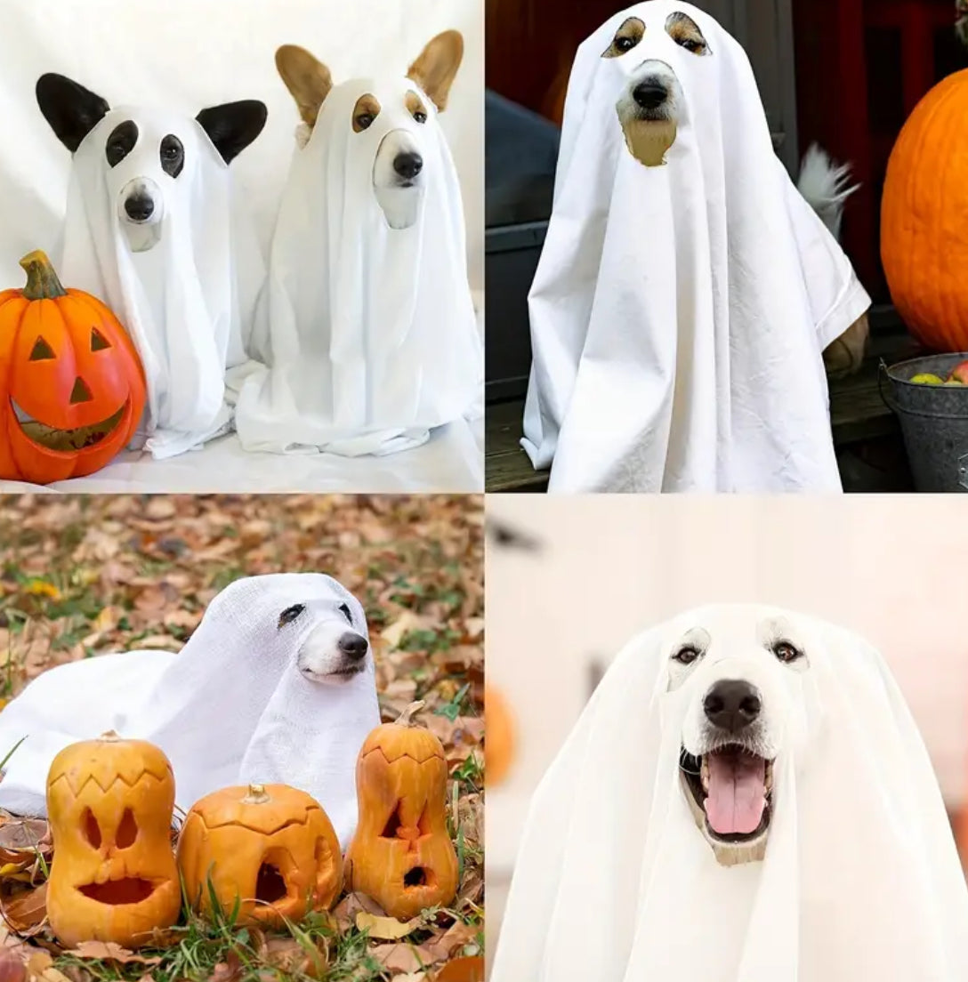 Ghost Dog Costume | Halloween Dog Costume