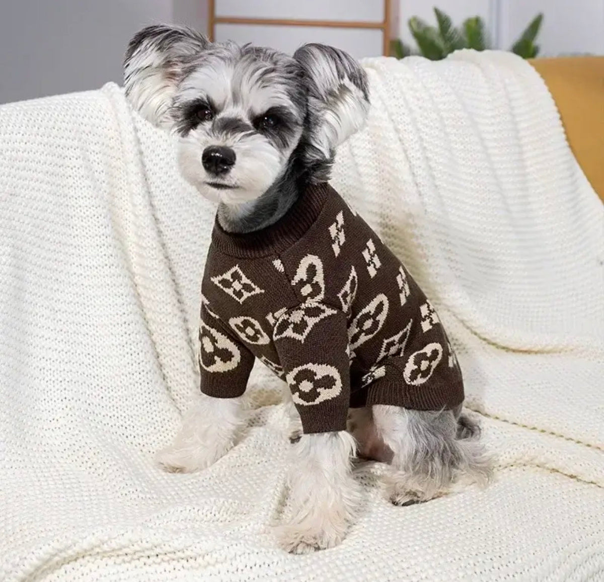 Pull pour chien Chewy Pawtton | Vêtements classiques tricotés pour petits et grands chiens