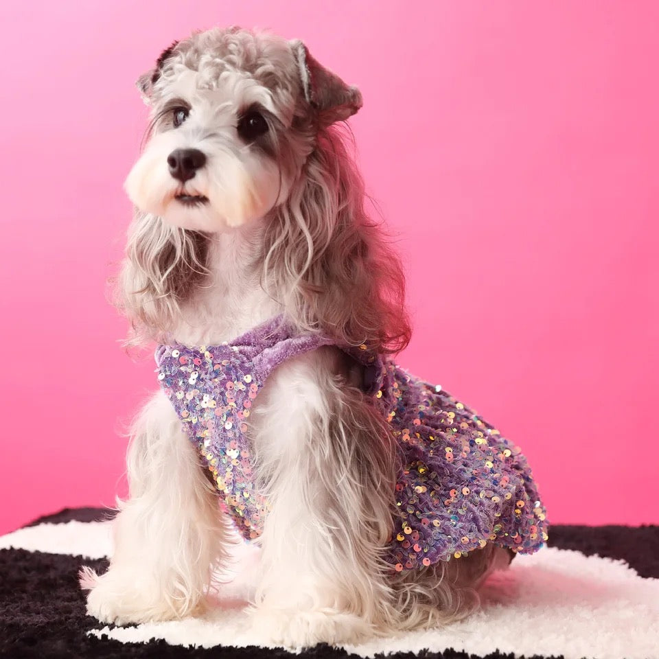 New Years Lover Sequin Dog Dress | Luxury Party Pet Dress