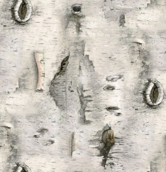 Elizabeth's Studio - Mélange de paysages - Écorce de bouleau