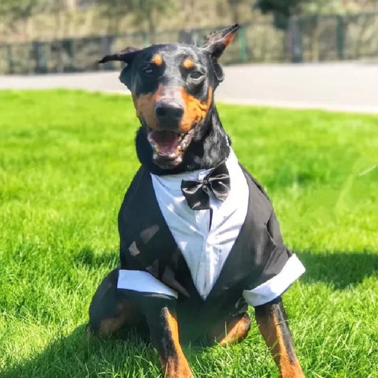 Costume Charlie