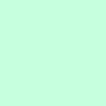 Solid - Colorworks - Frosted Mint - 9000-752