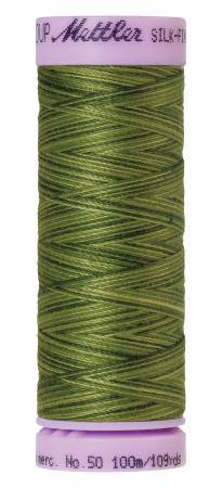 Fil de coton mercerisé Mettler Silk-Finish, 50wt, panaché, 100M/109vges, Fougères