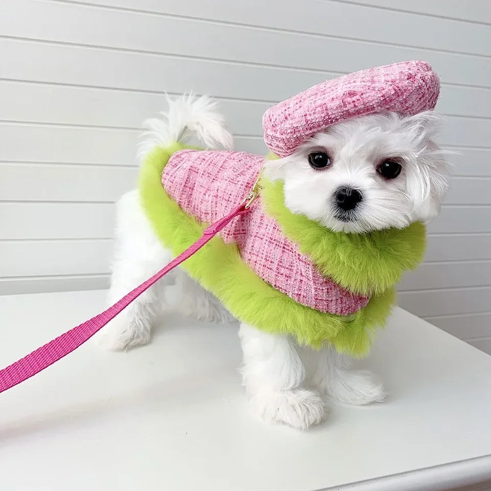 Plaid Harness Set | Dog Harness Leash and Hat Set