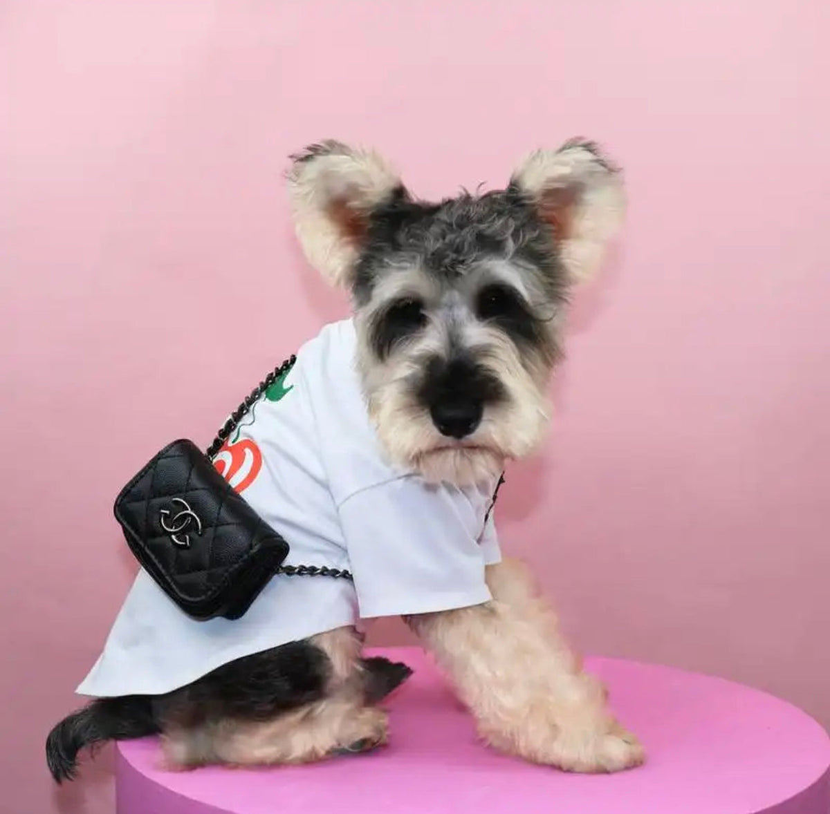 Dog Purse | Chewnel Dog Accessory Purse