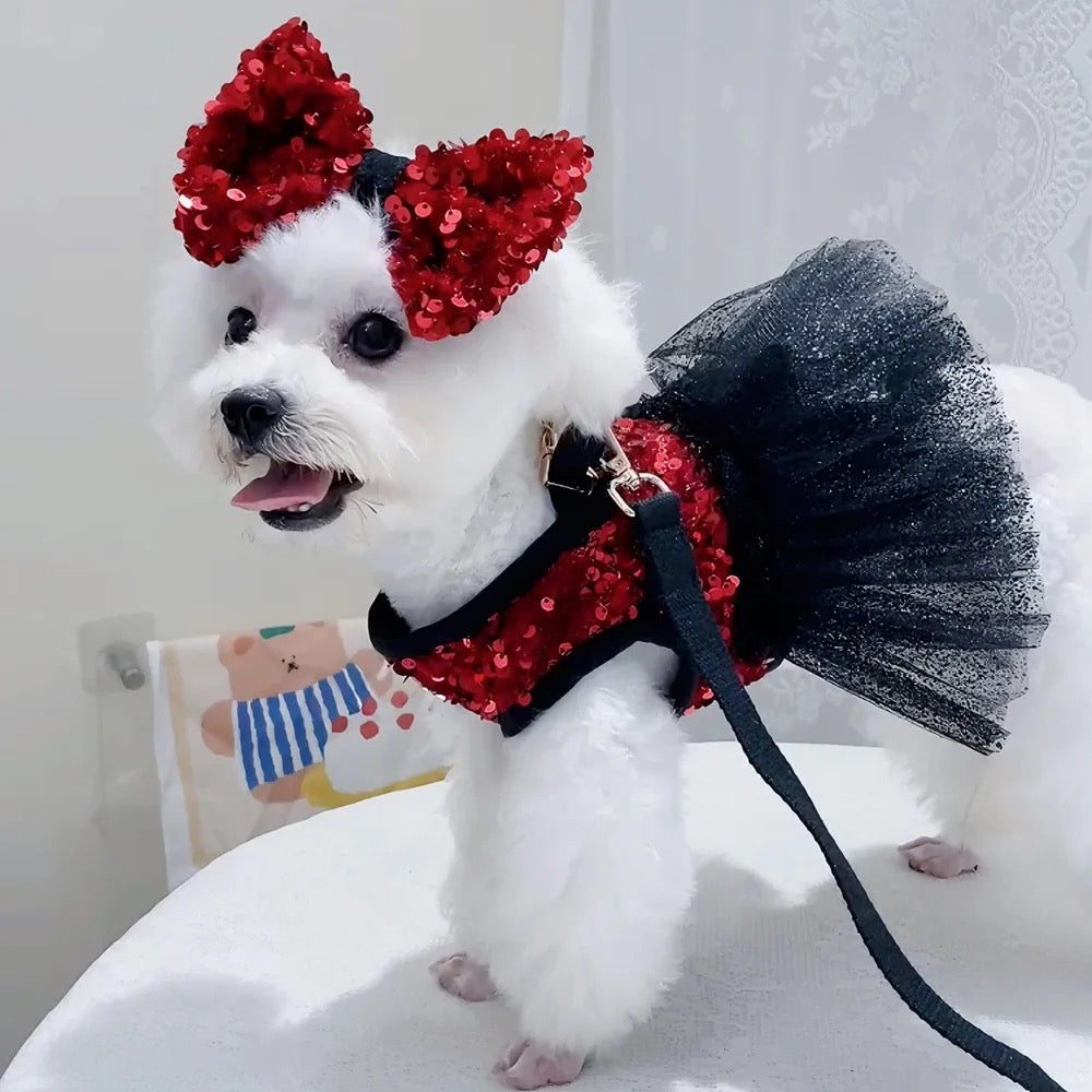 Ensemble robe Giselle Noir pour chien | Robe de cérémonie avec nœud assorti