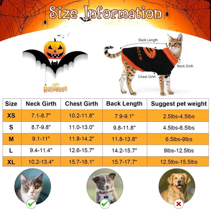 Pull chauve-souris citrouille pour chien | Costume d'Halloween pour chien