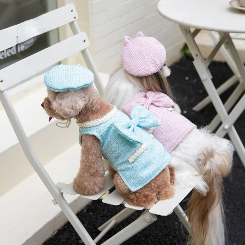 Ensemble robe et chapeau Paris pour chiens – Tenue élégante pour chiens