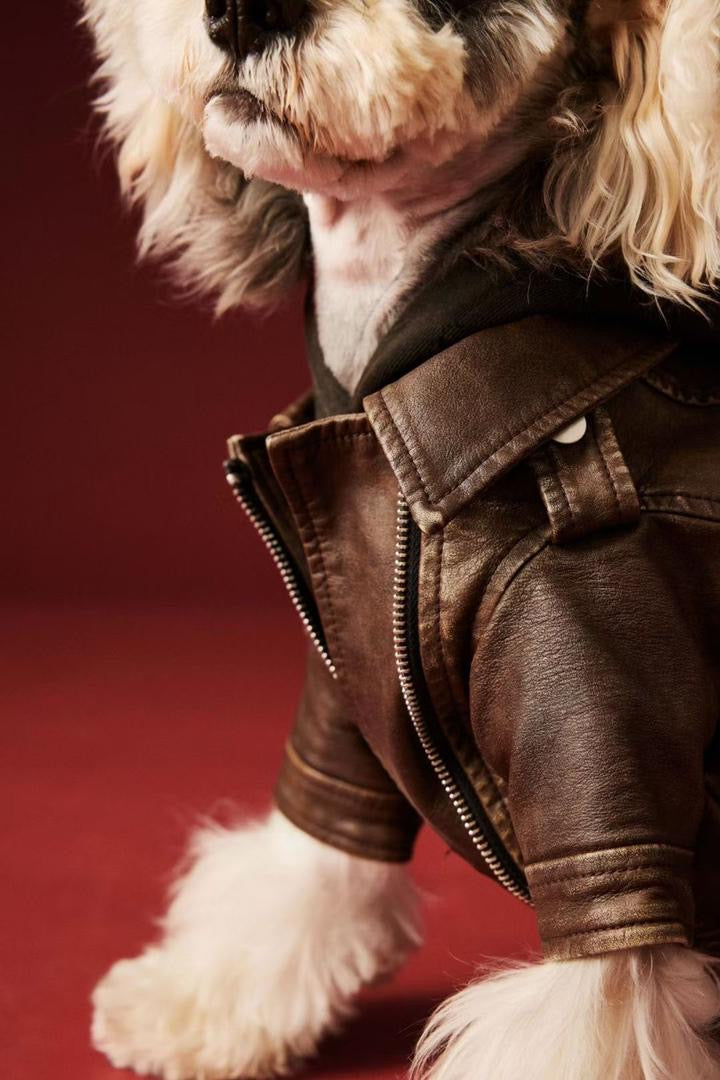 Lenny Dog Jacket | Dog Jacket for Cold Weather