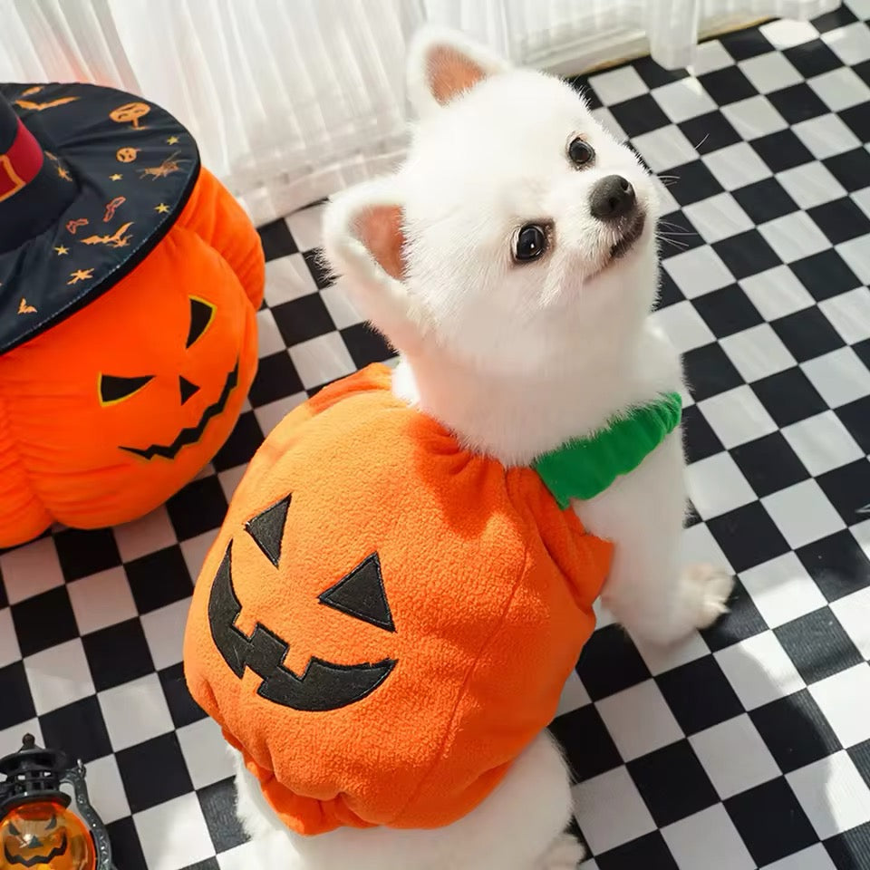 Pumpkin Dog Halloween Costume | Dog Costume for Halloween