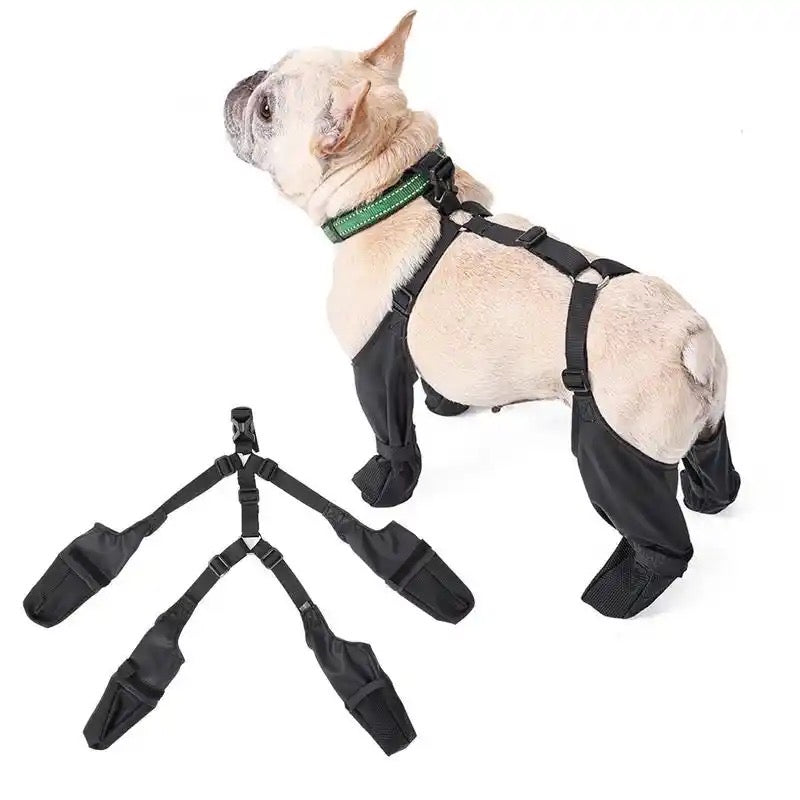 Bottes pour chien à bretelles | Bottes mode pour chien avec bretelles