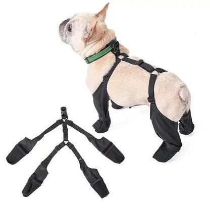 Bottes pour chien à bretelles | Bottes mode pour chien avec bretelles