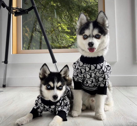 Chandail Doggy Drip – Tricot streetwear de luxe pour chiens