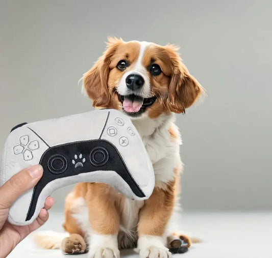 Jouet pour chien Pawstation | Jouet interactif télécommandé pour chien