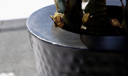 Mesa - Pot de fleurs noir en laiton (plusieurs tailles)