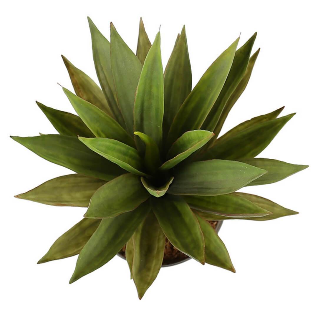 Plante artificielle Aloa Aloès en pot 50 cm