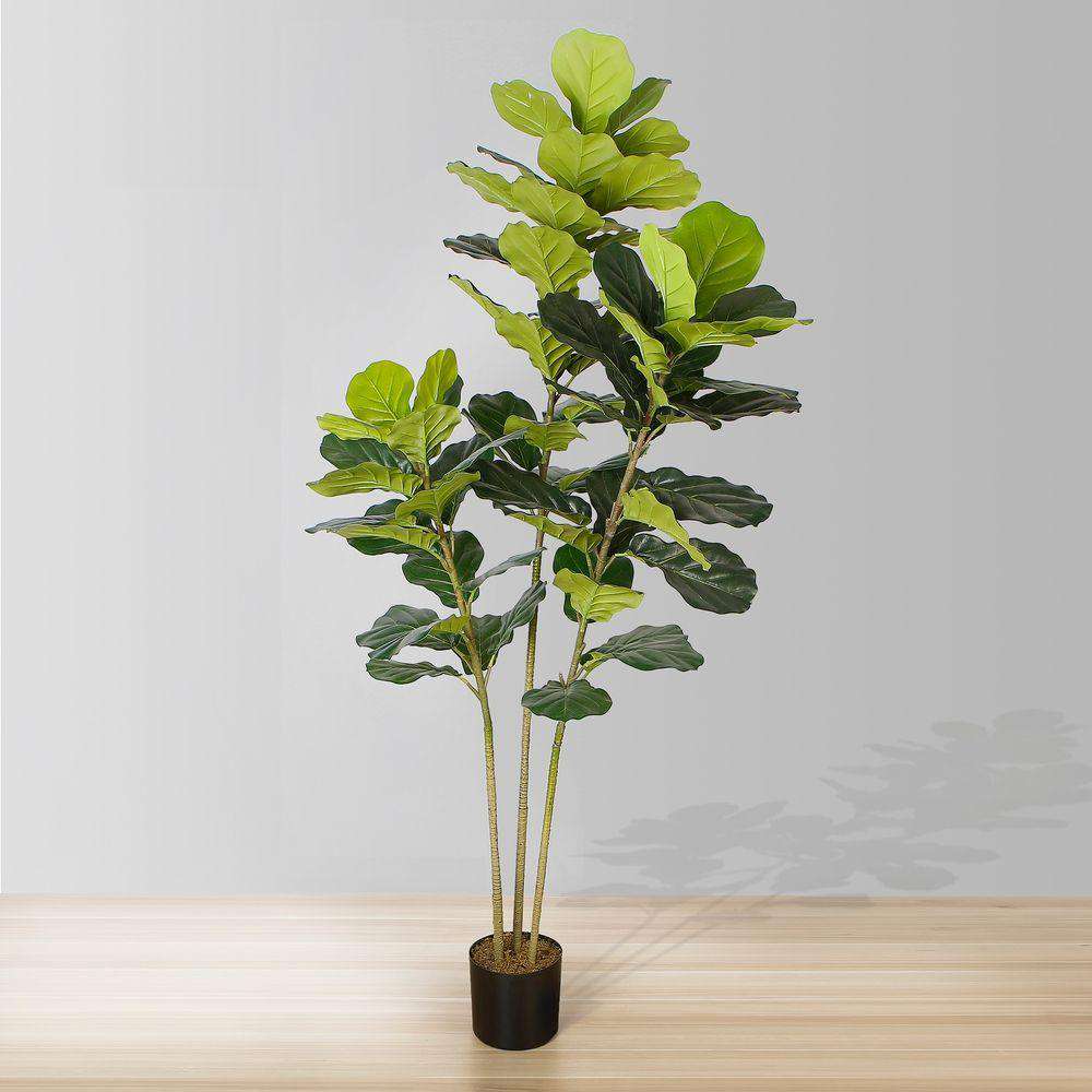 Plante artificielle en pot Alva Fiddle Leaf (Plusieurs tailles)