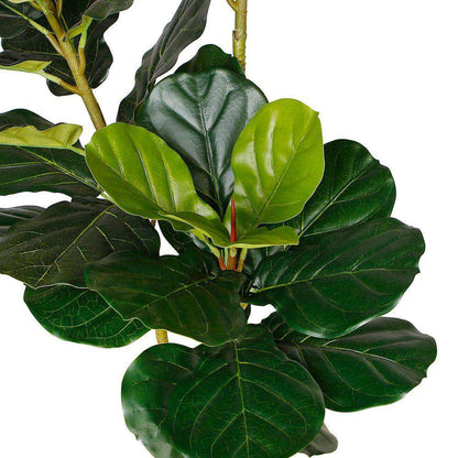 Plante artificielle en pot Alva Fiddle Leaf (Plusieurs tailles)