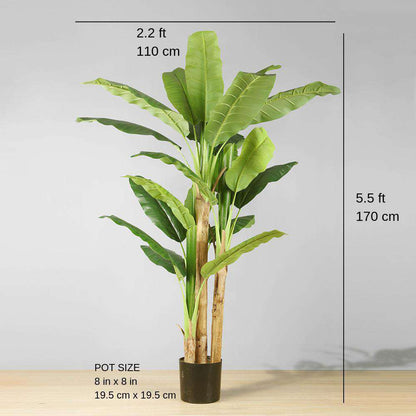 Anna Arbre à Bananier Artificiel en Pot (Plusieurs Tailles)