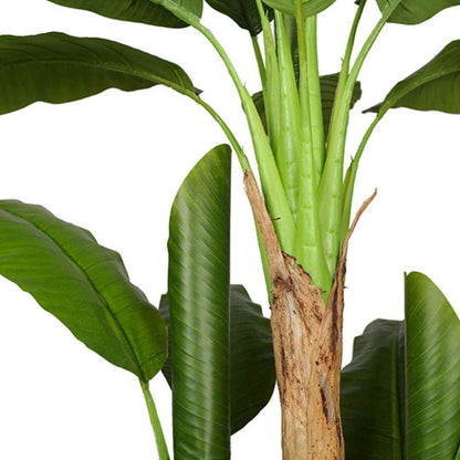 Anna Arbre à Bananier Artificiel en Pot (Plusieurs Tailles)