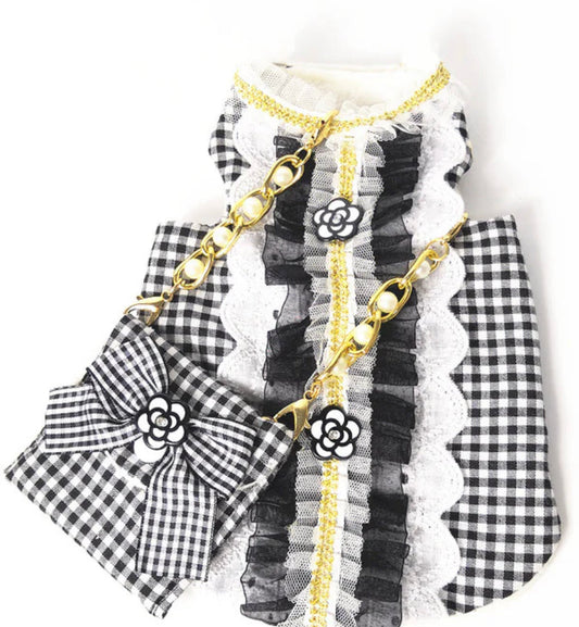 Robe et sac à main Chewnel
