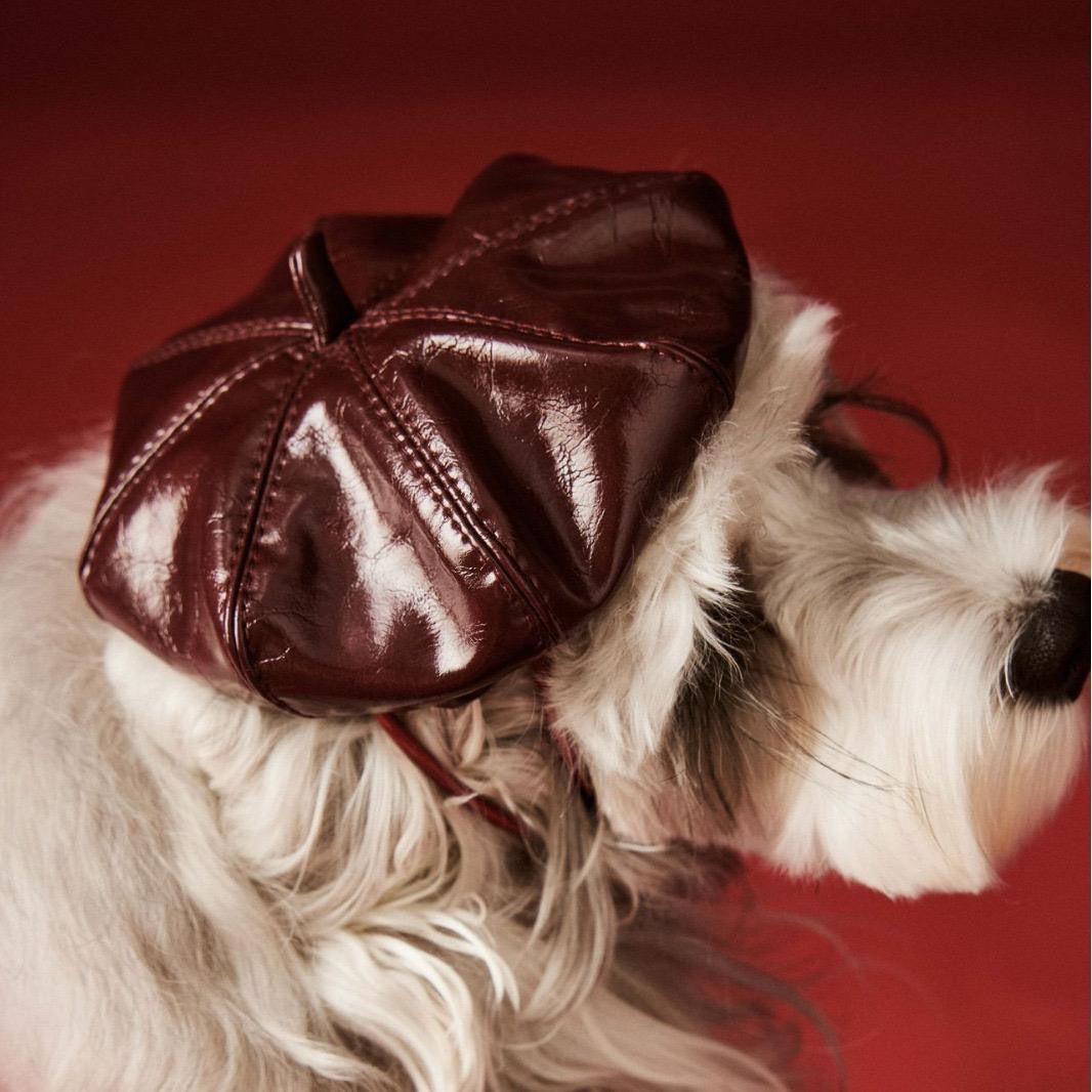 Monsieur Dog Hat | Dog Beret Hat
