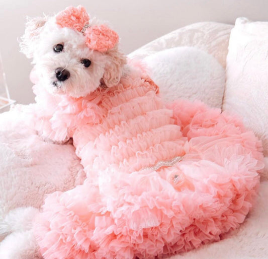 Robe pour chien Miranda – Tenue de soirée de luxe pour petits chiens