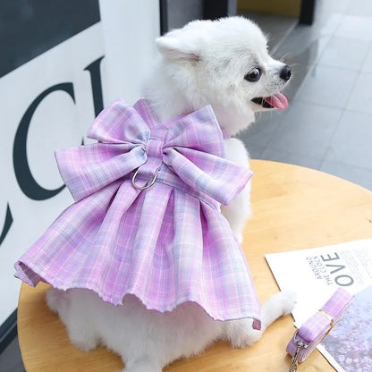 Ensemble Harnais, Laisse et Robe Nœud Papillon pour Chien | Ensemble Promenade pour Chien