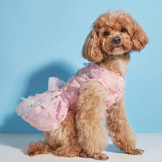 Robe papillon de princesse pour chien | Tenue de fête