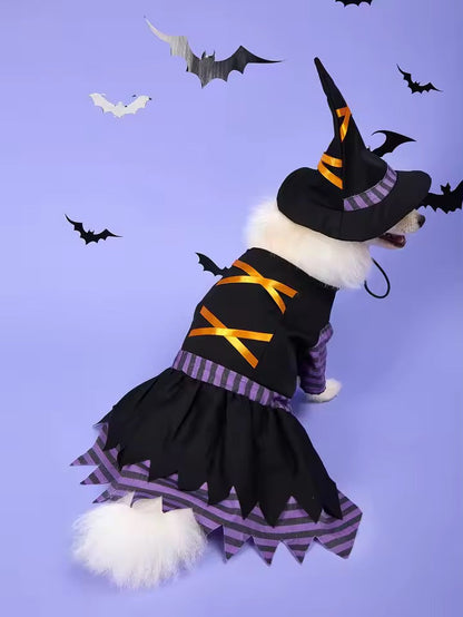 Costume d'Halloween pour chien sorcière | Costume d'Halloween pour chien