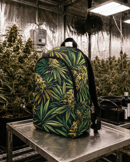 Pack Réserve Grosses Têtes