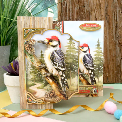 Beautiful Birds Deco-Large Set - Wonderful Woodpecker