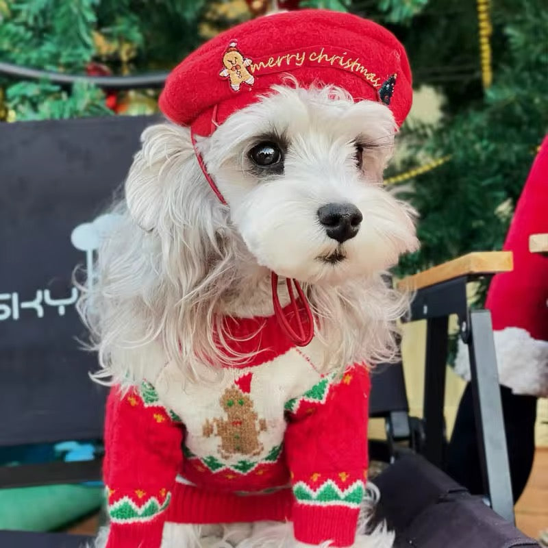 Pull de Noël pour chien en pain d'épices – Tenue tricotée d'hiver pour chiens