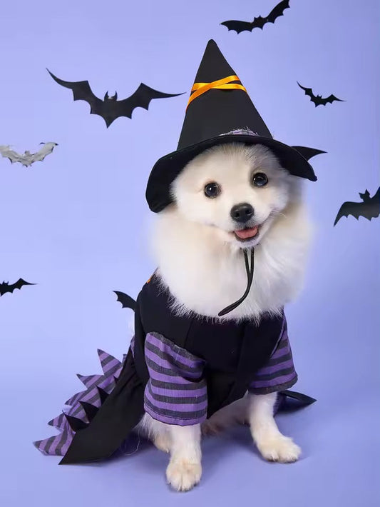 Costume d'Halloween pour chien sorcière | Costume d'Halloween pour chien