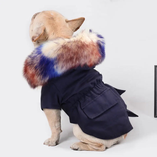 Veste pour chien Allison Winter | Veste à capuche pour chien par temps froid