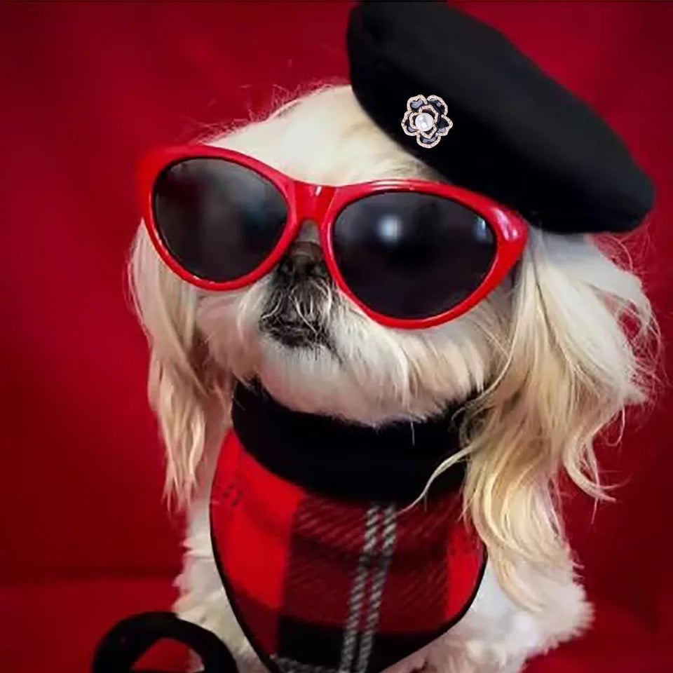 Dog Beret Hat | Coco Classic Dog Beret