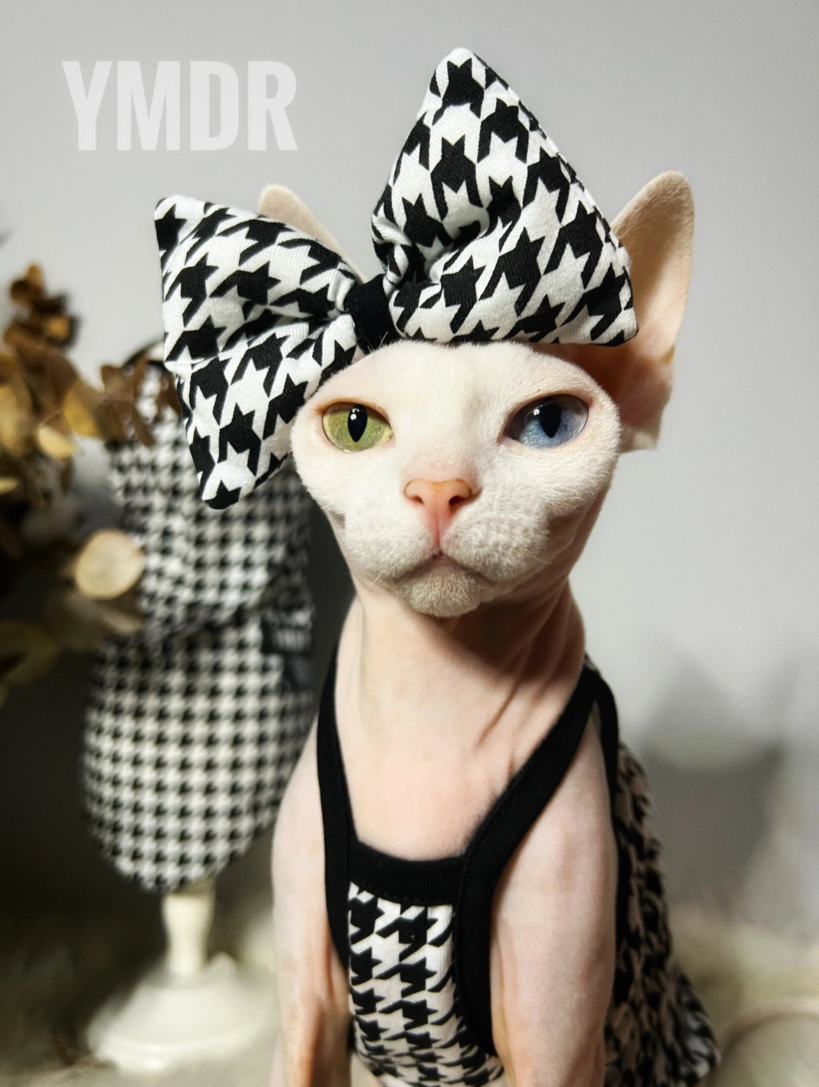 Robe pour chien Leona | Robe pour chien pour occasions spéciales