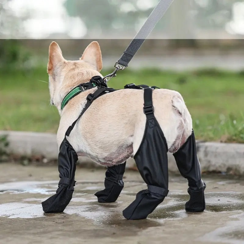 Vancouver Dog Boots | Waterproof Rain Dog Boots