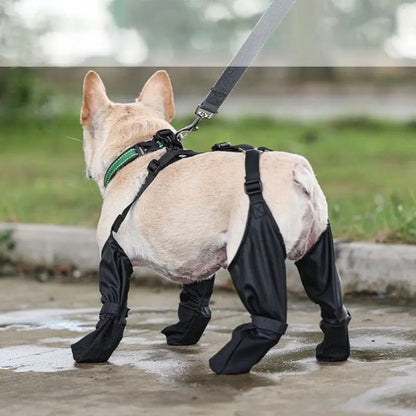 Vancouver Dog Boots | Waterproof Rain Dog Boots
