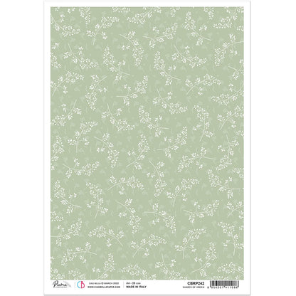 Ciao Bella Papier de Riz A4 Nuances de Vert