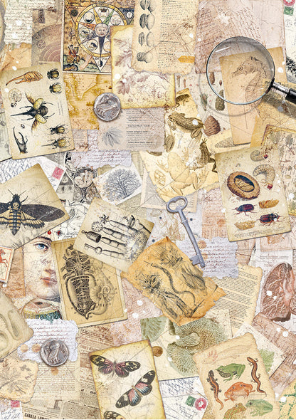 Rice Paper A5 MIXED 8/Pkg Cabinet Of Curiosities