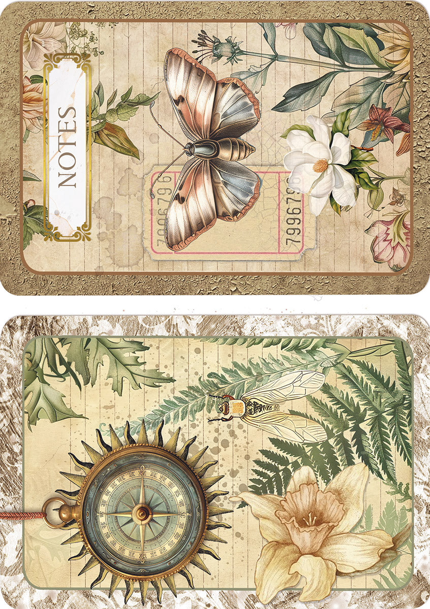 Rice Paper A5 MIXED 8/Pkg Cabinet Of Curiosities