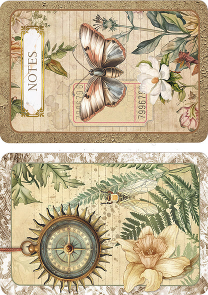 Rice Paper A5 MIXED 8/Pkg Cabinet Of Curiosities