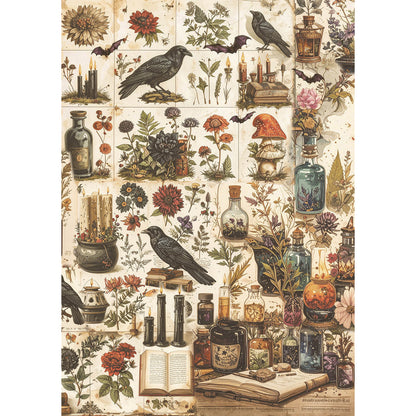 Rice Paper A5 MIXED 8/Pkg Dark Academia