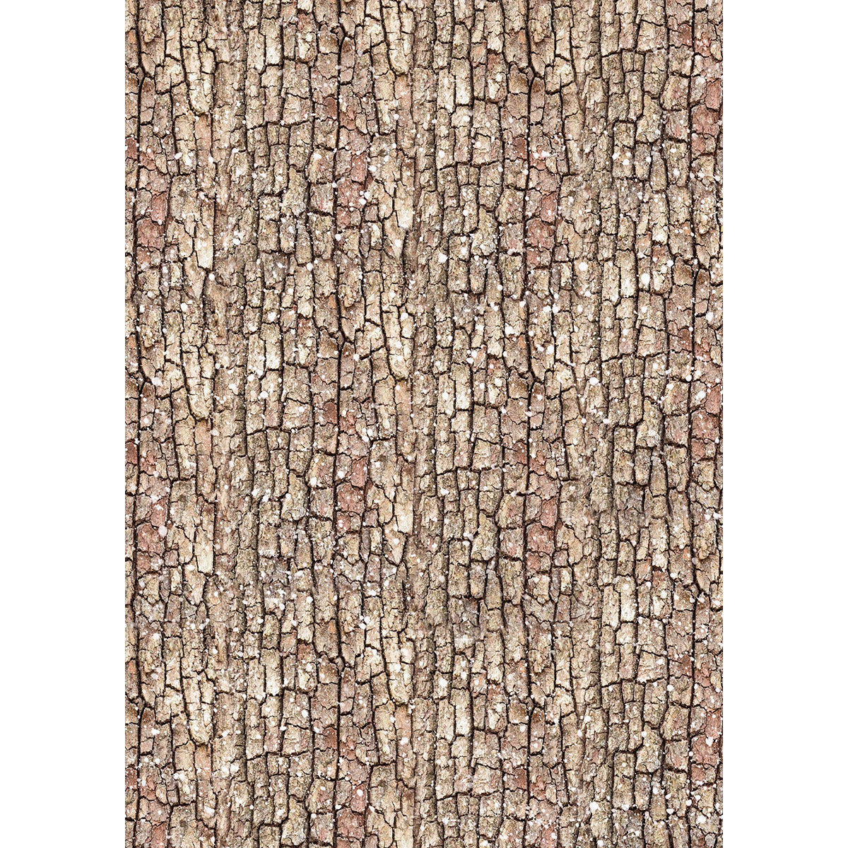 Papier de Riz A5 MIXTE 8/Paquet Contes de la Forêt