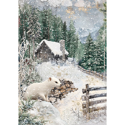 Papier de Riz A5 MIXTE 8/Paquet Contes de la Forêt