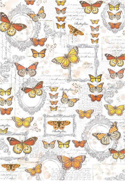 Ciao Bella Vellum Enchanted Land Blocs de Papier A4 6/Paquet